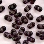 Black Farfalle